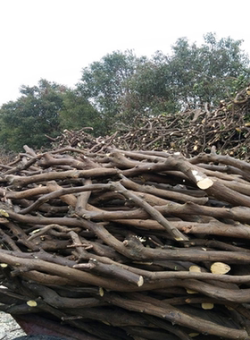 映山红树枝天然树枝diy树杈细枝树捆木段干树枝森系背景装饰材料