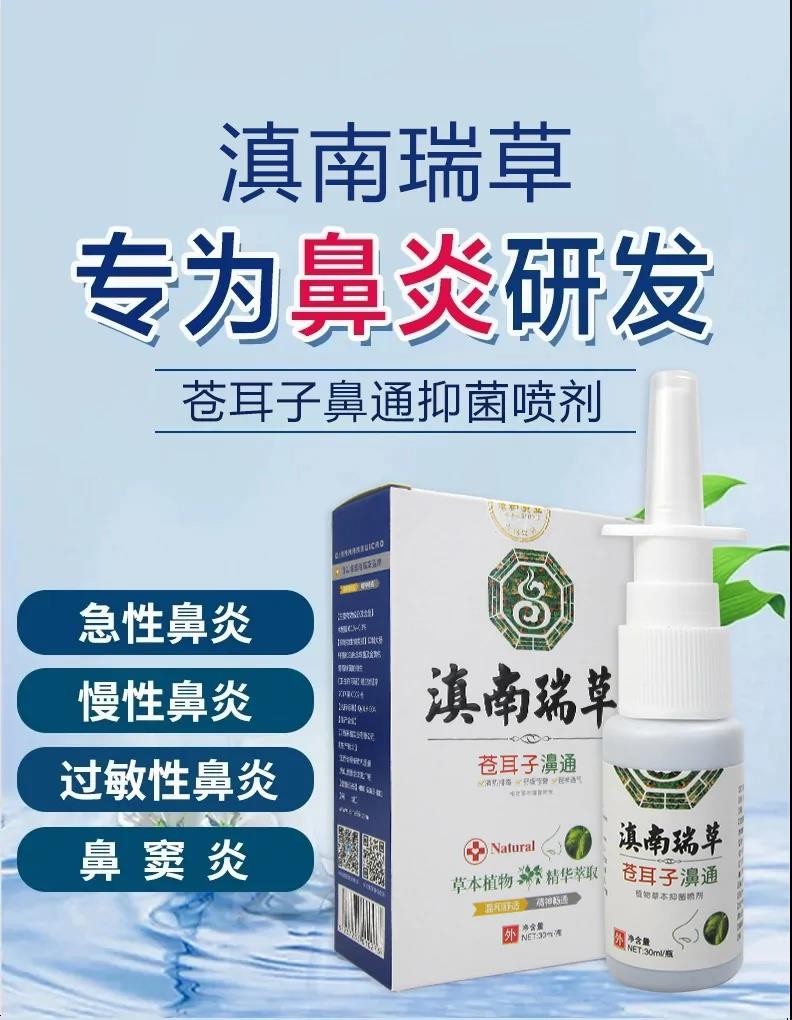 苍耳子鼻通滇南瑞草鼻炎困扰适用于鼻炎鼻窦炎鼻塞流鼻涕异物红肿 - 图2