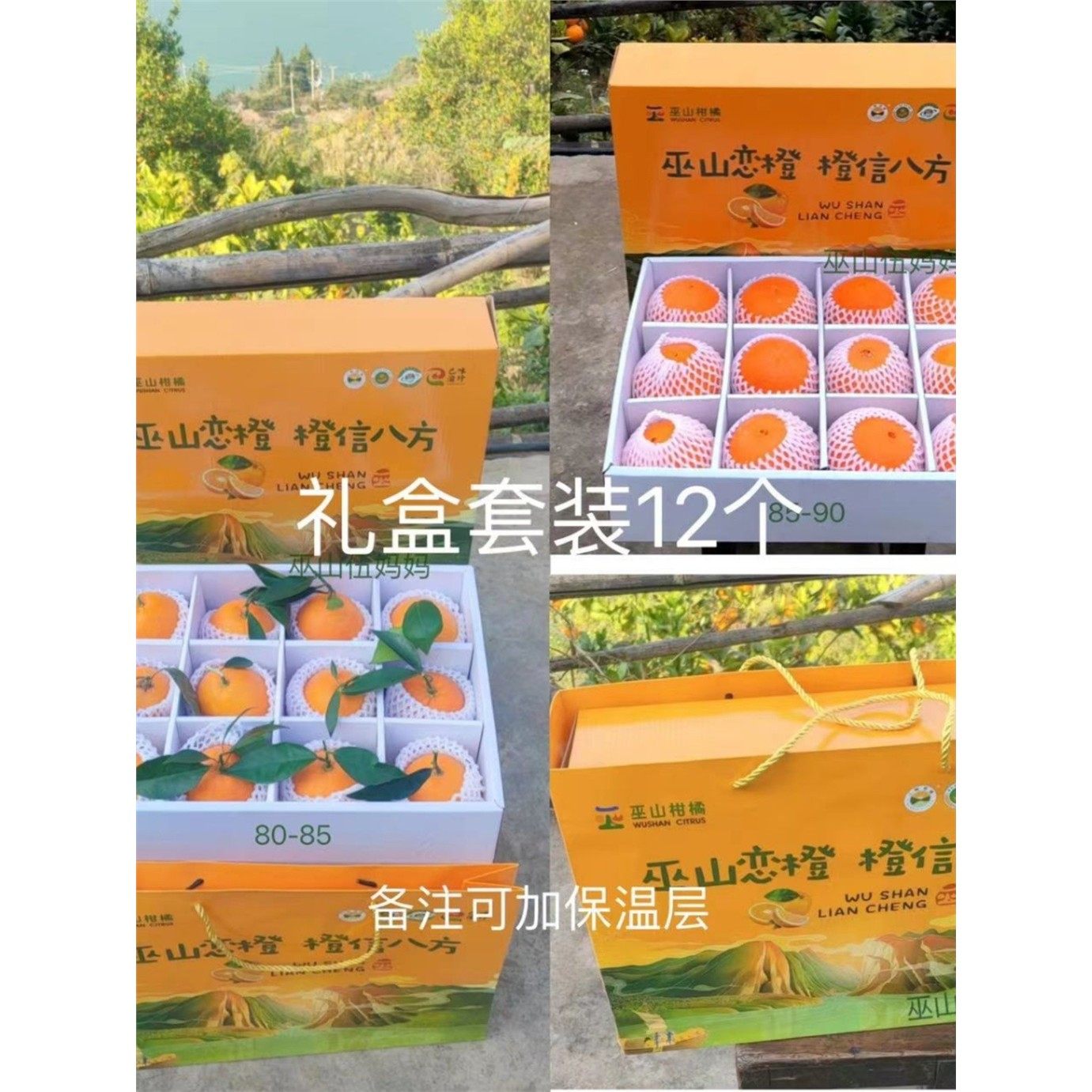 礼盒自家果园重庆巫山曲尺恋橙子纽荷尔带叶现摘新鲜脐橙,淘宝优惠券,粉丝福利购,淘宝优惠卷