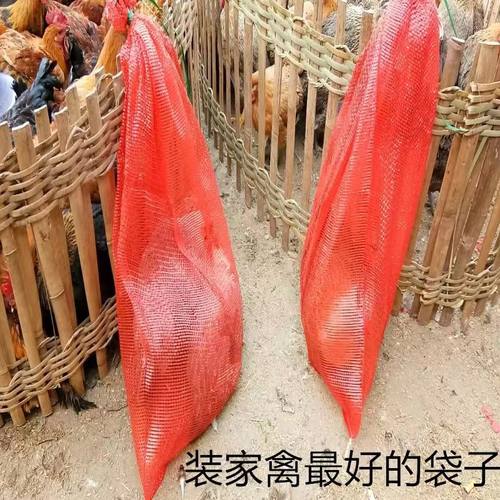 网袋编织袋装玉米洋葱塑料加密加厚绿色网眼袋橙子水果网兜袋包邮 - 图2