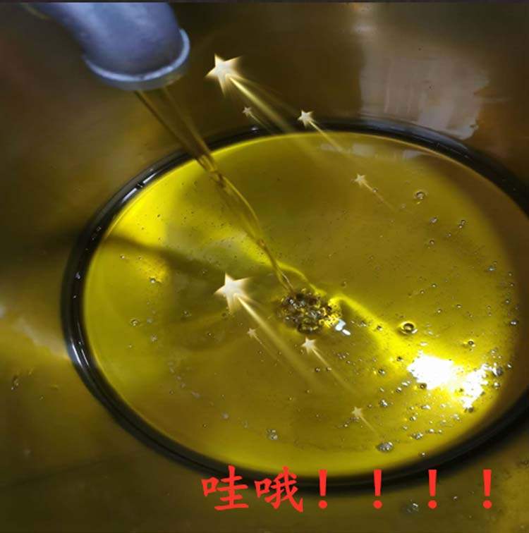 厂油博士气压滤油机直径滤油加密3927滤布菜籽花生大豆涤纶葵花油,淘宝优惠券,粉丝福利购,淘宝优惠卷