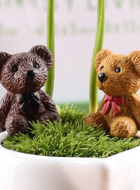 小熊可爱风园艺苔藓微景观小摆件