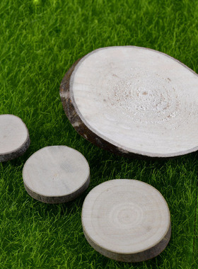 diy苔藓微景观圆木片拍摄摆件