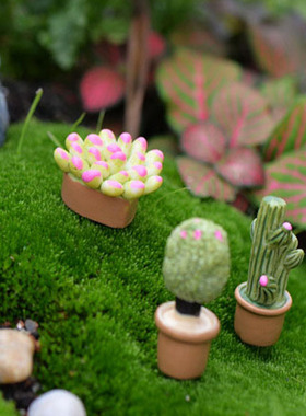 diy苔藓微景观生态小盆栽摆件