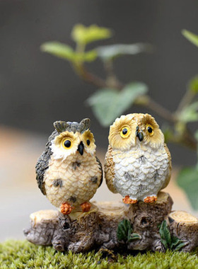 diy苔藓微景观可爱风装饰摆件