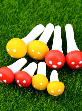 diy苔藓微景观植物生态瓶小摆件