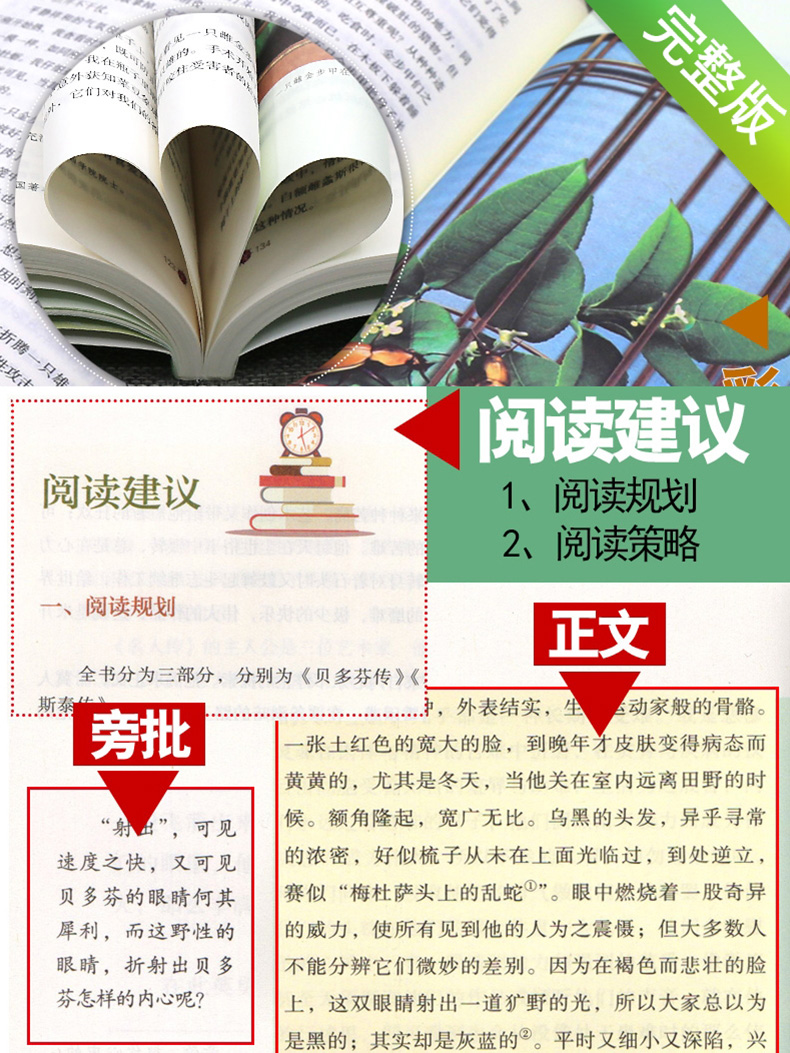 昆虫记法布尔八年级上学校老师推荐完整版课外书名著书籍中小学生青少年课外阅读书籍文学故事书畅销图书世界名著外国经典名著小说-图1