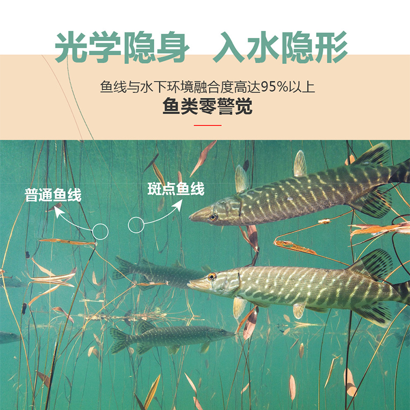 日本进口斑点鱼线200米高端隐形水无影主线正品超强拉力尼龙子线 - 图1