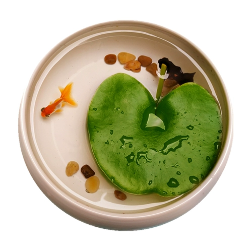 Один -линейная лотосная миска с лотосным гидропонным растением.