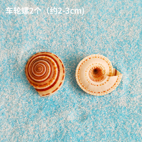 海藻球鱼缸造景小摆件鱼儿玩具微景观生态瓶配件装饰公仔珊瑚小船 - 图2