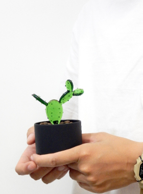 咖啡仙人掌 小盆栽系列  气氛植物摆件 家居装饰 Original Design
