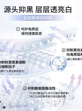 希芸臻白乳液精华面霜美白套装