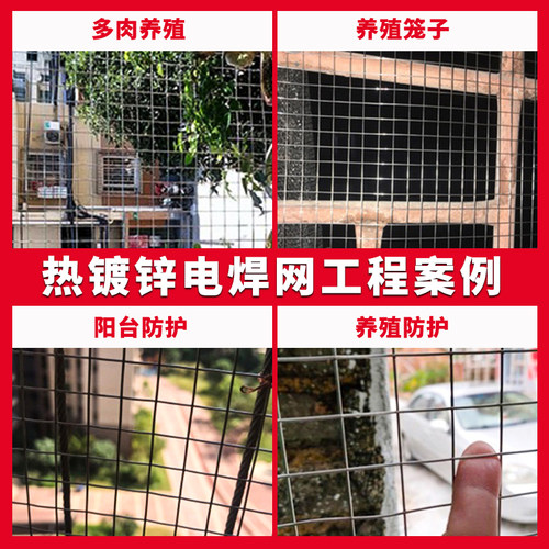 镀锌铁丝网拦鸡养殖网钢丝网防护网防鼠网菜园果园隔离网小孔围栏 - 图1