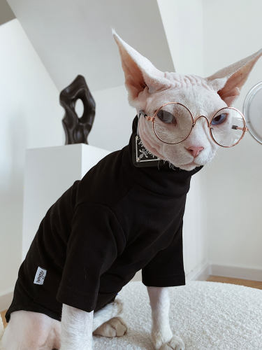 SPHYNX PLANET德文衣服斯芬克斯无毛猫春季纯棉打底蔡徐坤潮宠物 - 图2