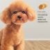 Chó con ăn thịt chó gấu Teddy Xiong VIP Keji đặc biệt chọn miệng chó vừa và nhỏ loại 2kg - Chó Staples Chó Staples