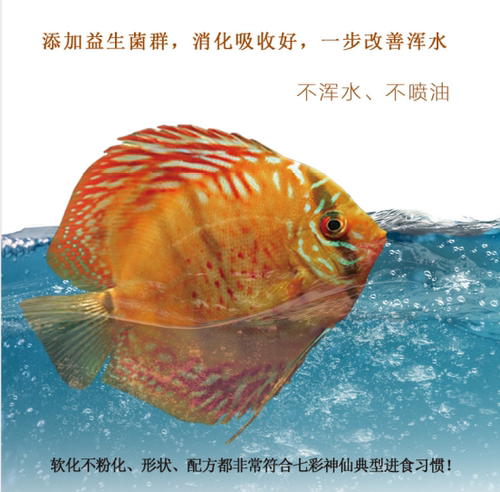 七彩神仙鱼饲料燕鱼热带鱼苗观赏鱼开口小型颗粒鱼食鱼料鱼粮通用 - 图0