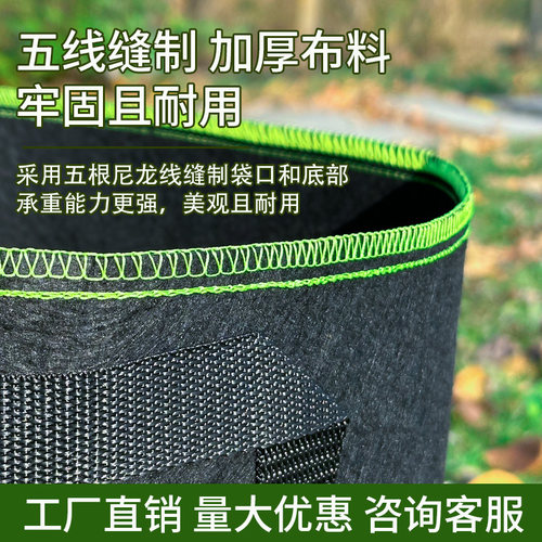 美植袋加厚无纺布种植袋黑色种树专用袋植树袋育苗袋出口加仑阳台 - 图2