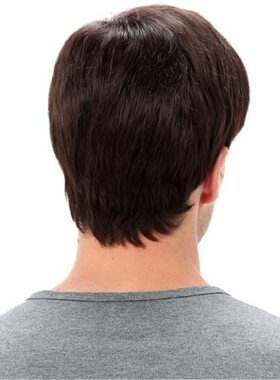 男士假发 短直发蓬松修脸wigs 时尚流行短发 高温丝玫瑰网发套