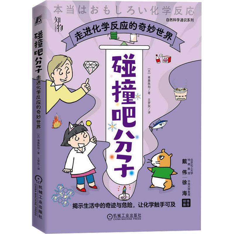 碰撞吧分子走进化学反应的奇妙世界斋藤胜裕油页岩开采可燃冰太阳能电池反式脂肪酸漂白剂洗涤剂 pH值蛋白质-图0