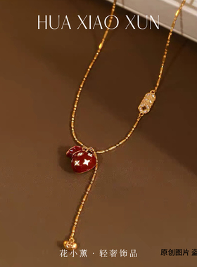 秋冬红色福袋五帝钱币项链女复古高级感轻奢毛衣链小众气质配饰品