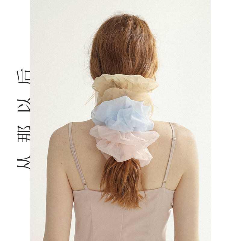 从那以后大肠发圈头绳高级感头花发饰橡皮筋扎头发绳女春2024新款,淘宝优惠券,粉丝福利购,淘宝优惠卷