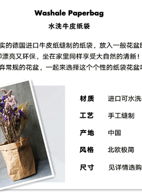 撕不烂可水洗牛皮纸袋创意收纳袋北欧风格面包长条袋子装饰拍摄