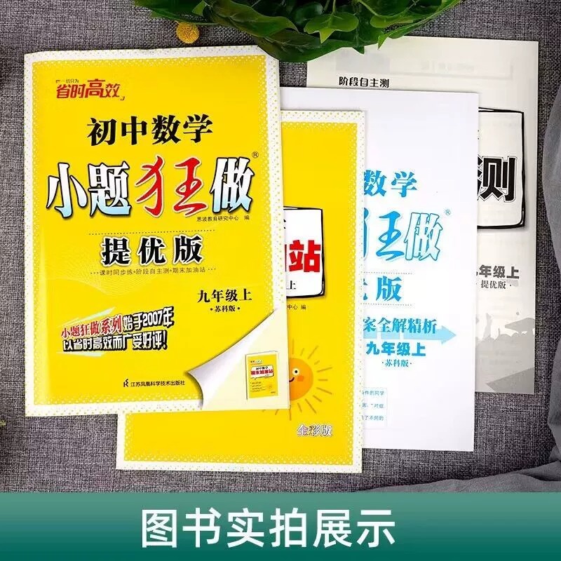 2024春小题狂做七八九年级下册语文人教数学物理苏科提优版巅峰版提优初一二三上册初中中考英语译林化学人教沪教江苏十三市专用 - 图1