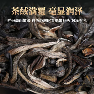 【一折福利】懂过普洱茶生茶饼茶200g云南书呆子茶叶 普洱生茶