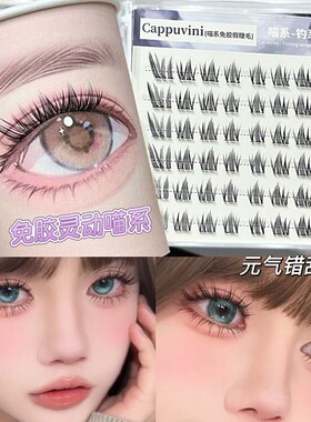 喵系泪汪汪免胶睫毛自然日常