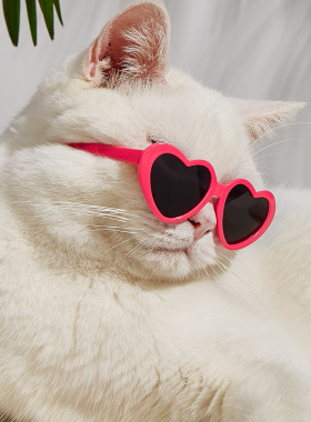 宠物猫眼镜复古耍酷狗眼镜创意潮流爱心眼镜拍照道具猫狗搞怪墨镜
