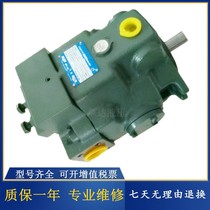 Oil R&D plunger pump A56-L-R-01-H-S-K-32 A56-F-R-01-H-K-32 oil pumps A37 70 90