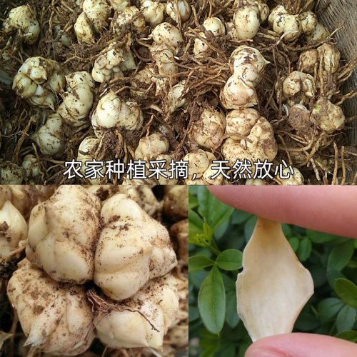 天然农家百合干干货包邮龙山药百合特产级食用泡水搭配莲子银耳 - 图2