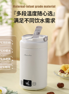 316不锈钢电炖杯一人食110v烧水