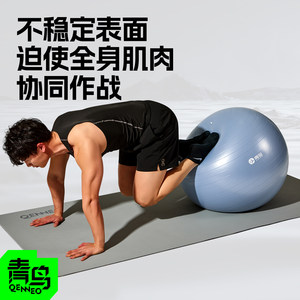 青鸟男士专业健身球训练球成人专用平衡球核心力量训练器瑜伽球