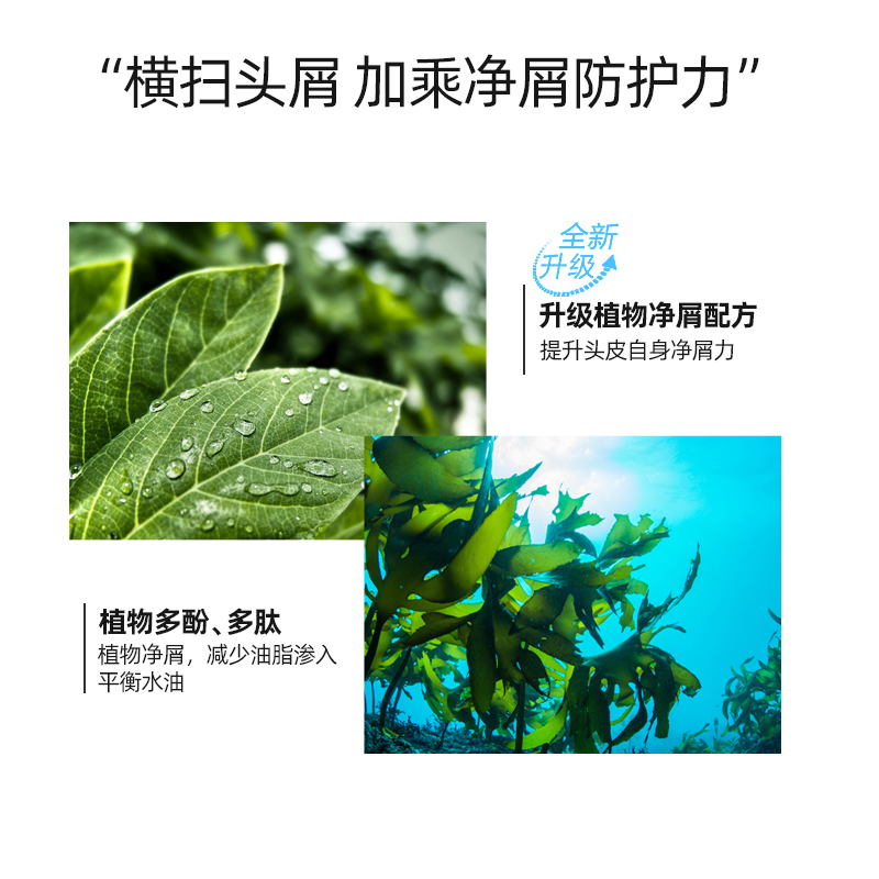维特丝拓佳专卖店古龙洗发水香味持久留香去屑止痒控油男士专用洗头膏露沐浴露套装2