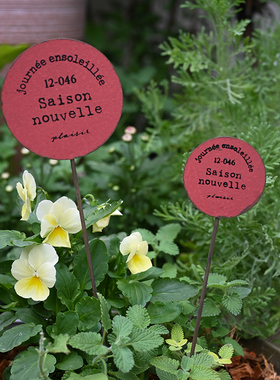 铁艺花盆装饰日系花园阳台庭院