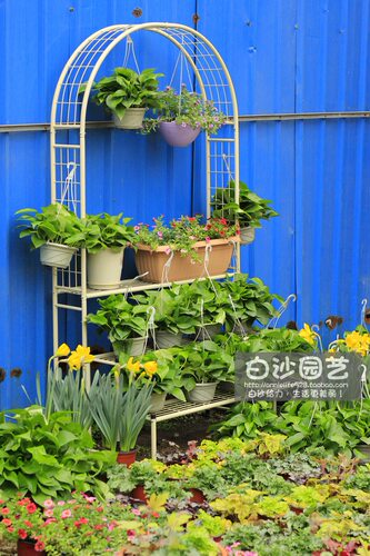 出口日本欧式铁艺月季铁线莲花架拱门带杂货层架置物架 包邮 - 图1