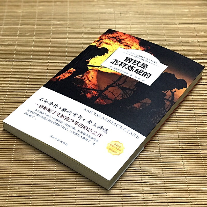 【有声伴读】钢铁是怎样炼成的正版单本包邮小学生全译本四五六七八年级上下册课外无障碍阅读书籍钢铁是怎样练成的初中生学霸版-图1