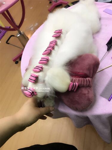 宠物包毛纸 宠物专业包毛纸 比熊约克夏长毛犬狗狗包毛纸包邮 - 图2