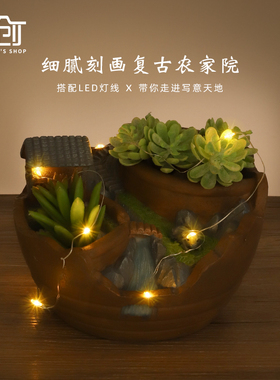 复古小乌龟多口径组合植物盆栽