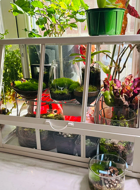 阿克巴塑料制温室罩室内/户外