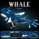 New Avatar 3 Jack Sally building block construction toy