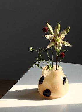 复古波点家居花瓶玻璃ins
