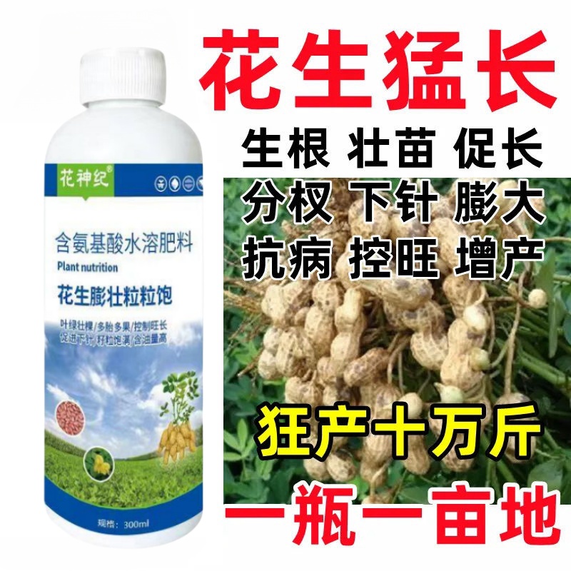 花生膨大粒粒饱高产增产增收叶面肥花生分叉下针剂花生膨壮粒粒饱 - 图0