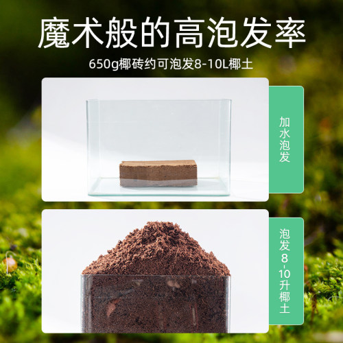 椰糠砖营养土进口脱盐椰砖椰壳园艺土养花通用型多肉盆栽家用肥料 - 图2