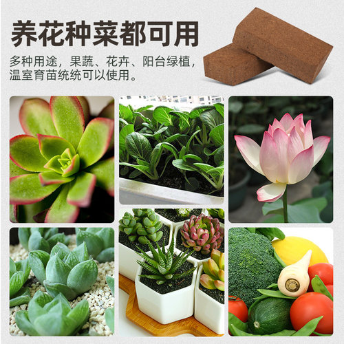 椰糠砖营养土进口脱盐椰砖椰壳园艺土养花通用型多肉盆栽家用肥料 - 图3