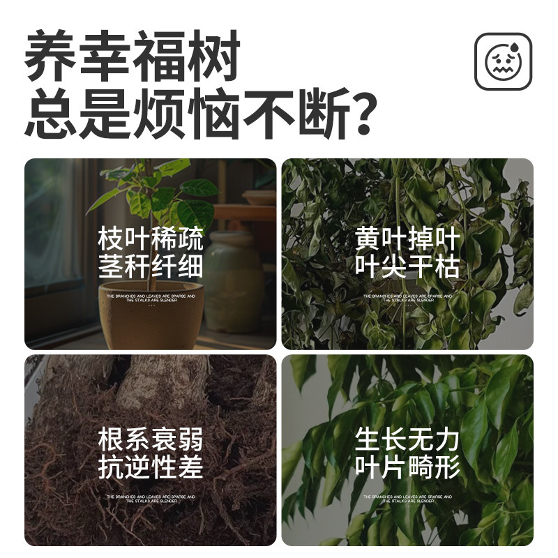 幸福树专用肥料营养液发财树叶子干枯落叶防掉叶急救复合肥花肥,淘宝优惠券,粉丝福利购,淘宝优惠卷