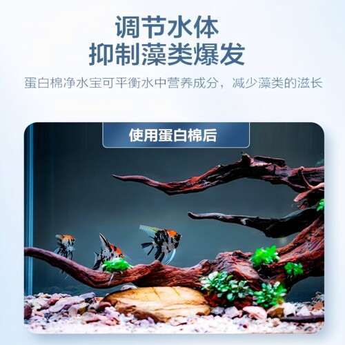蛋白棉去除黄水去腥臭水族鱼缸专用水质净化去污神器上过滤全新料 - 图0