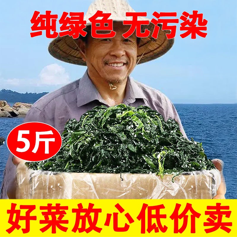 【裙带菜】烫三秒裙带叶裙带菜海带芽海白菜海藻出口韩国海带汤火-图0