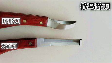 马蹄刀 修蹄刀马具用品削蹄刀抠蹄马术马房用具 修蹄工具 - 图0